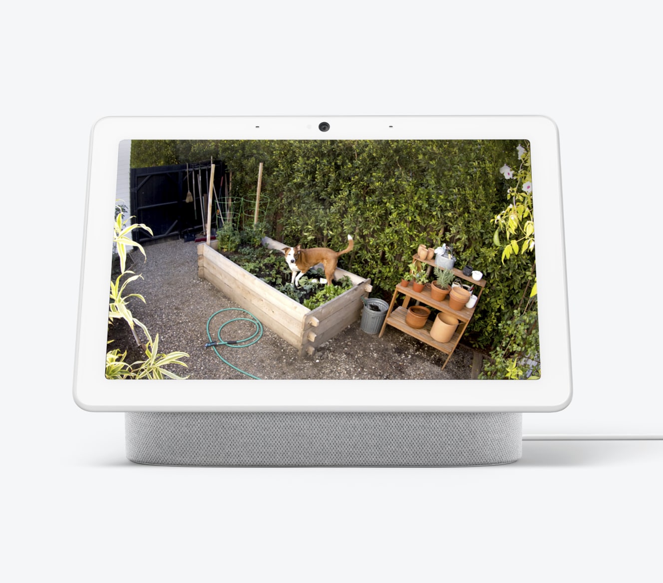 Google Nest Cam footage of a dog in a garden Google Nest Cam footage of a dog in a garden