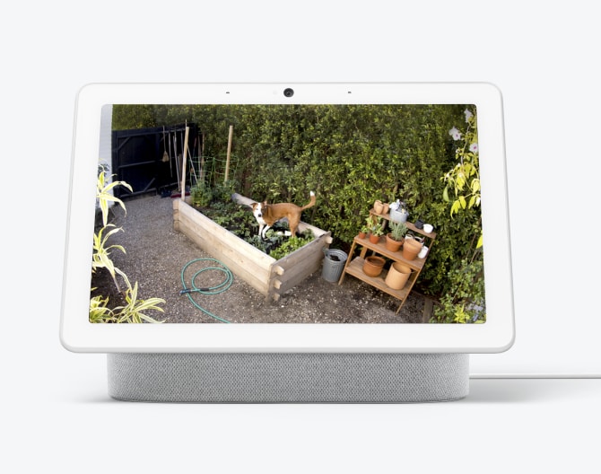 Google Nest Cam footage of a dog in a garden Google Nest Cam footage of a dog in a garden