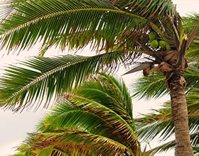 Hurricane Safety Hurricane Safety
