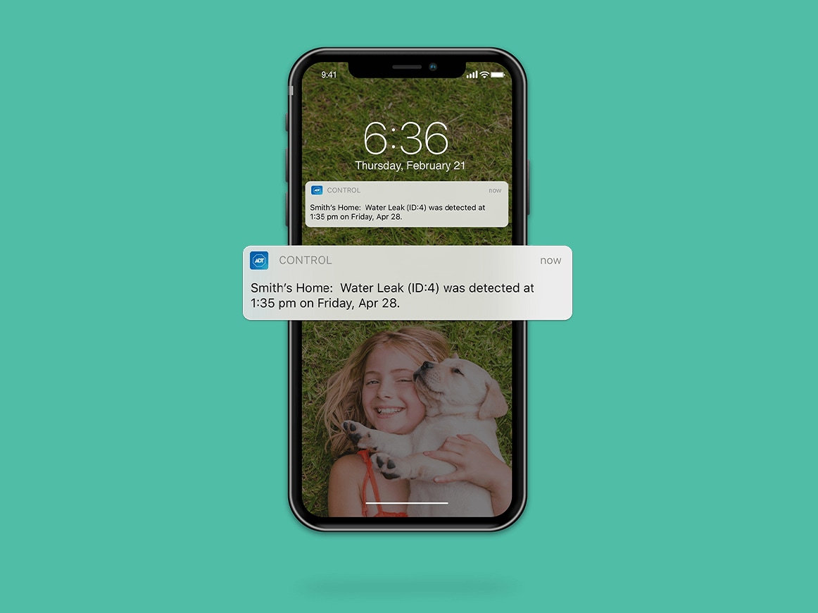 Picture of a cell phone showing a push notification from the ADT app about a water leak Picture of a cell phone showing a push notification from the ADT app about a water leak