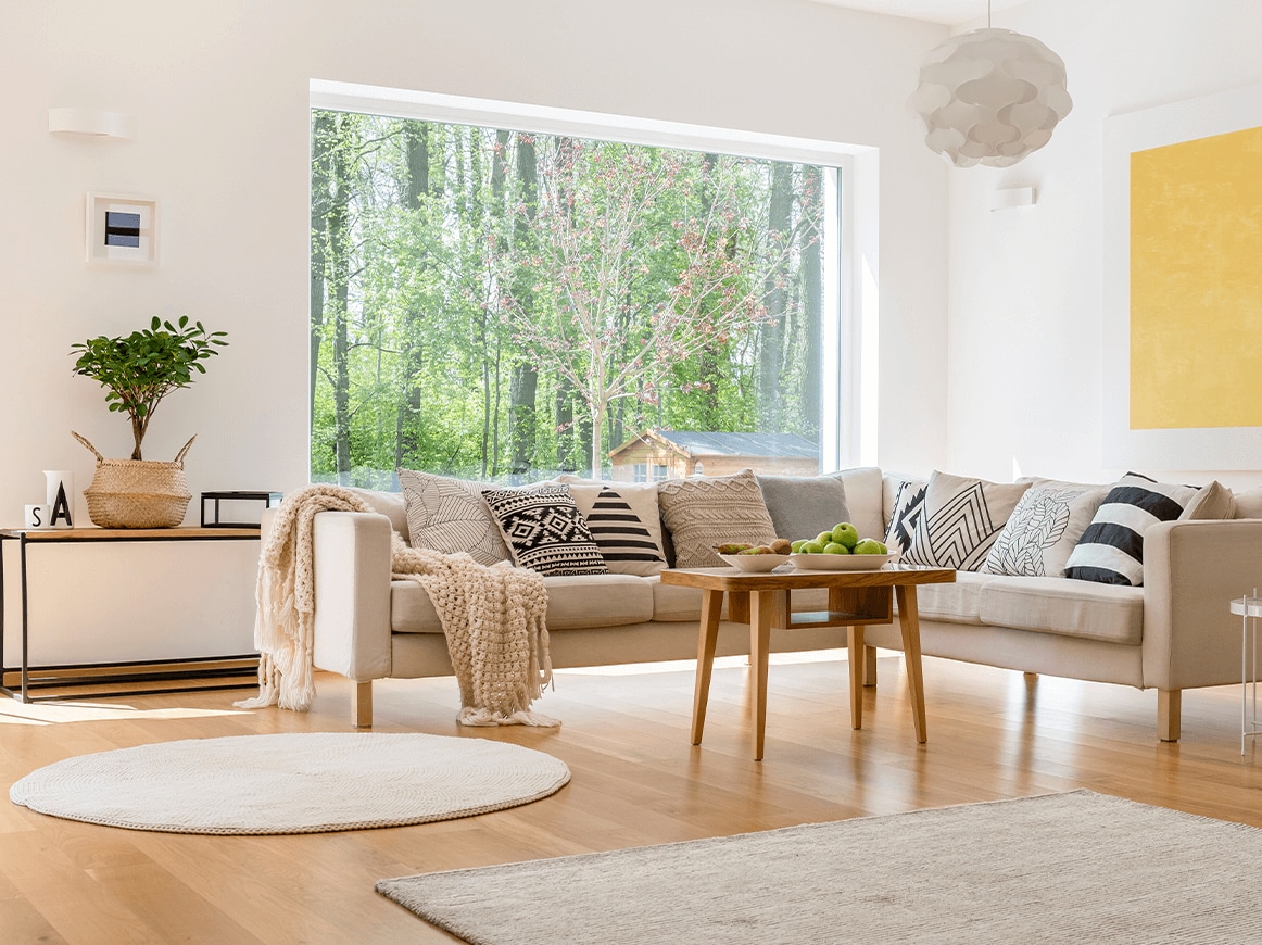 Image of a living room with couch, rugs, giant window and side table with plant Image of a living room with couch, rugs, giant window and side table with plant