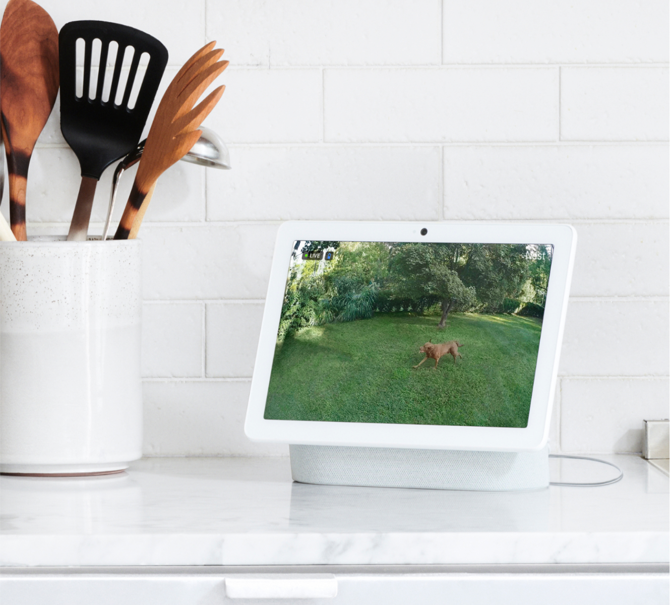 Google Nest Hub Max on a kitchen counter next to kitchen utensils Google Nest Hub Max on a kitchen counter next to kitchen utensils